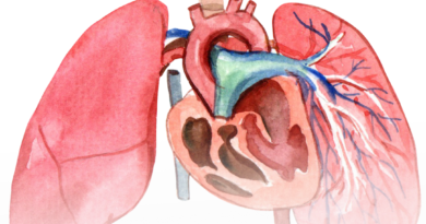 bagian tubuh manusia