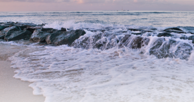 Pasang Surut Air Laut