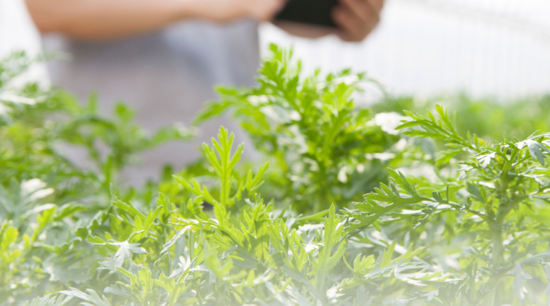 Jurusan Pertanian dan Agribisnis