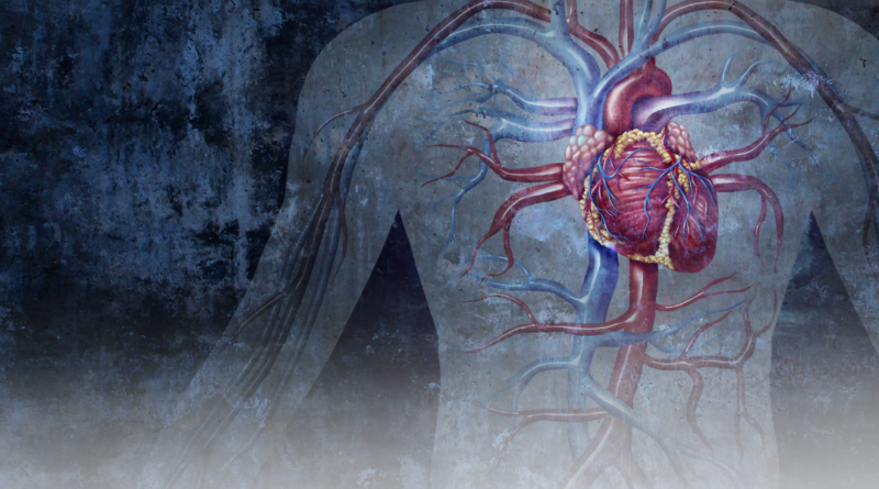 Penjelasan Lengkap tentang Sistem Gerak Manusia