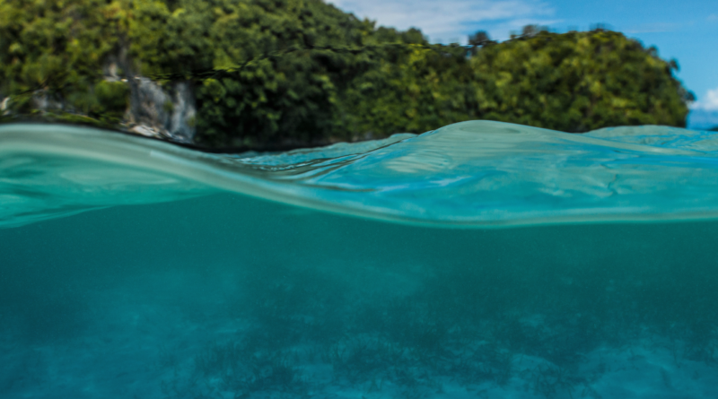 Samudera Pasifik: Mempesona Namun Rapuh