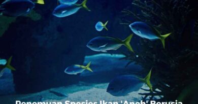 Penemuan Spesies Ikan 'Aneh' Berusia 210 Juta Tahun