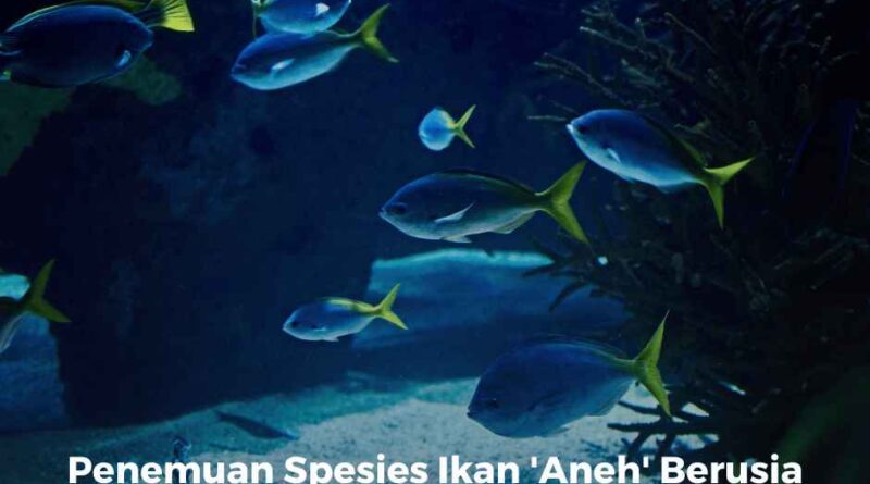 Penemuan Spesies Ikan 'Aneh' Berusia 210 Juta Tahun