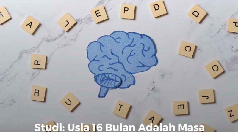 Studi Menunjukkan Usia 16 Bulan Adalah Masa Kritis untuk Perkembangan Otak Anak