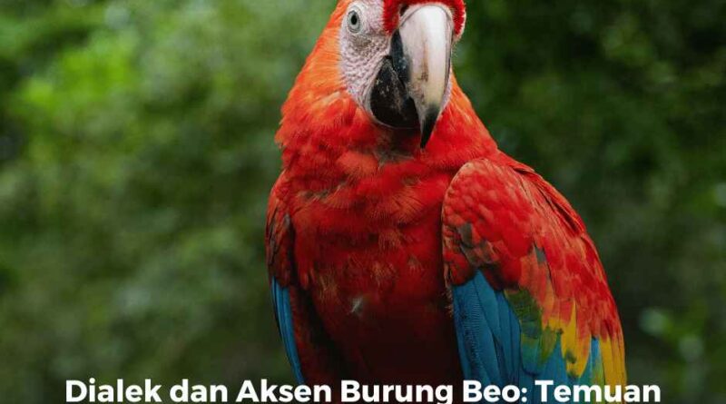  Dialek dan Aksen Burung Beo: Temuan Menarik dari Penelitian di Kosta Rika