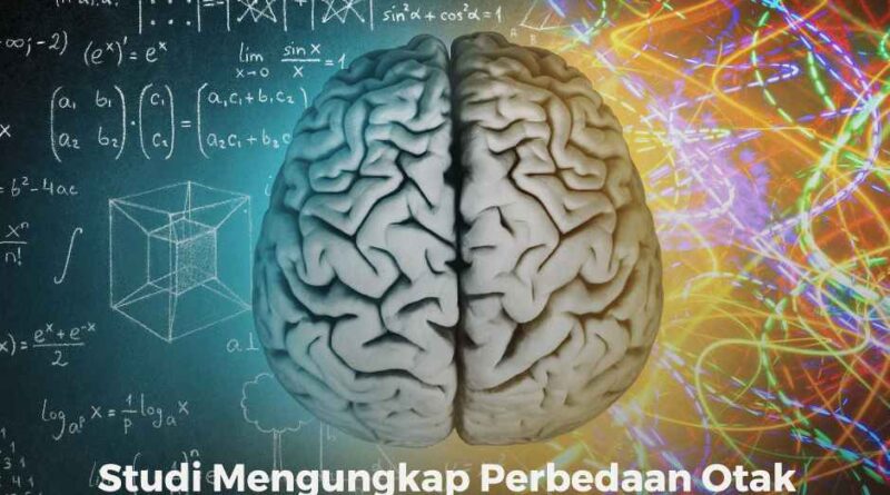 Studi Mengungkap Perbedaan Otak Atlet Olimpiade dengan Orang Biasa