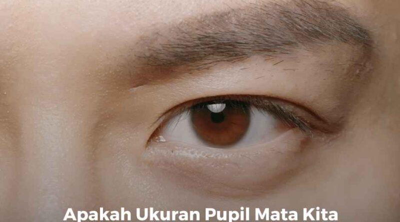 Apakah Ukuran Pupil Mata Kita Berubah Saat Bernapas?