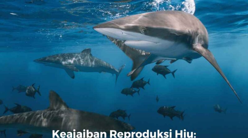 Keajaiban Reproduksi Hiu: Partenogenesis Tanpa Kawin di Italia