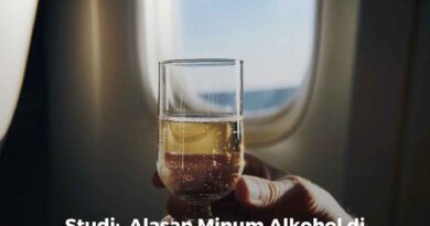 Alasan Minum Alkohol di Pesawat Mungkin Buruk bagi Kesehatan