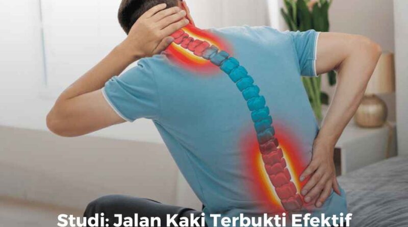 Studi: Jalan Kaki Terbukti Efektif Mengatasi Masalah Nyeri Punggung