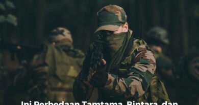 Ini Perbedaan Tamtama, Bintara, dan Perwira dalam Kepangkatan TNI