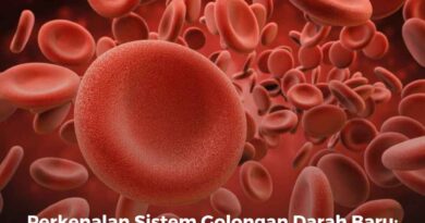 Perkenalan Sistem Golongan Darah Baru: Apakah Kamu Termasuk?